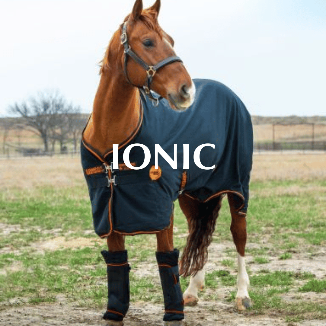Ionic