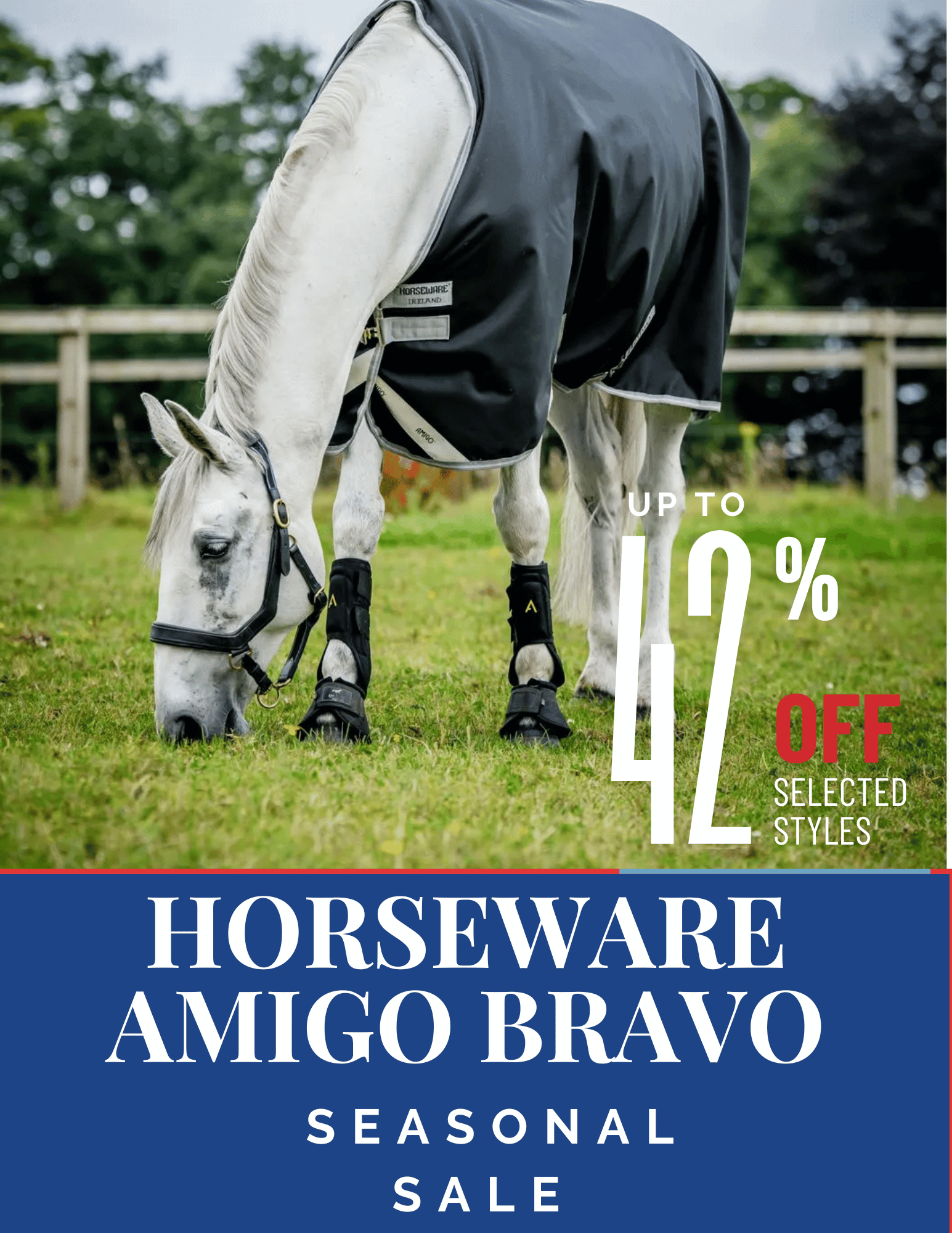 Amigo Bravo Turnouts