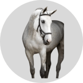 Stable Blankets - 47% Off