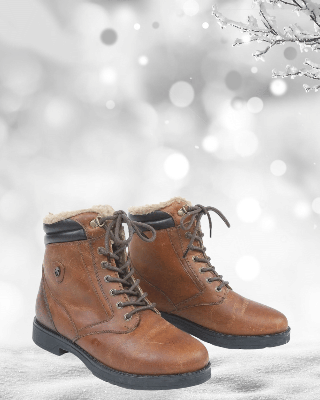 Shop for Shires Moretta Paddocks