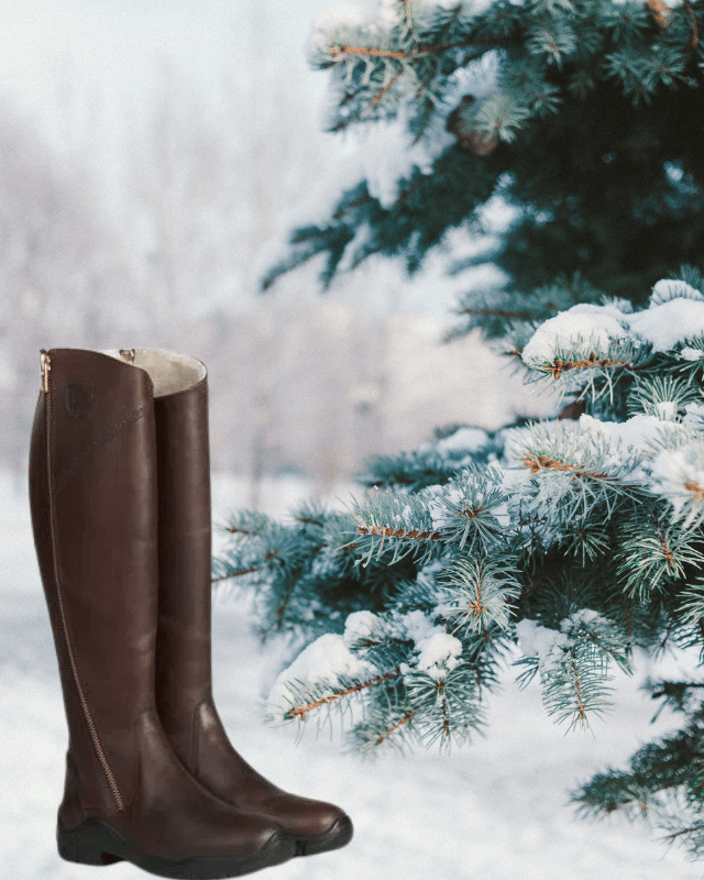 Shop for Horze Aspen Winter Tall Boots