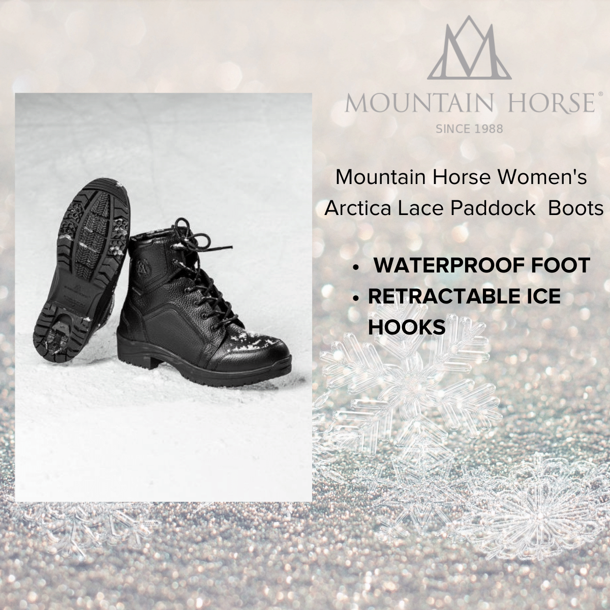Mountain Horse Women's Arctica Lace Paddocks with Ice Hooks