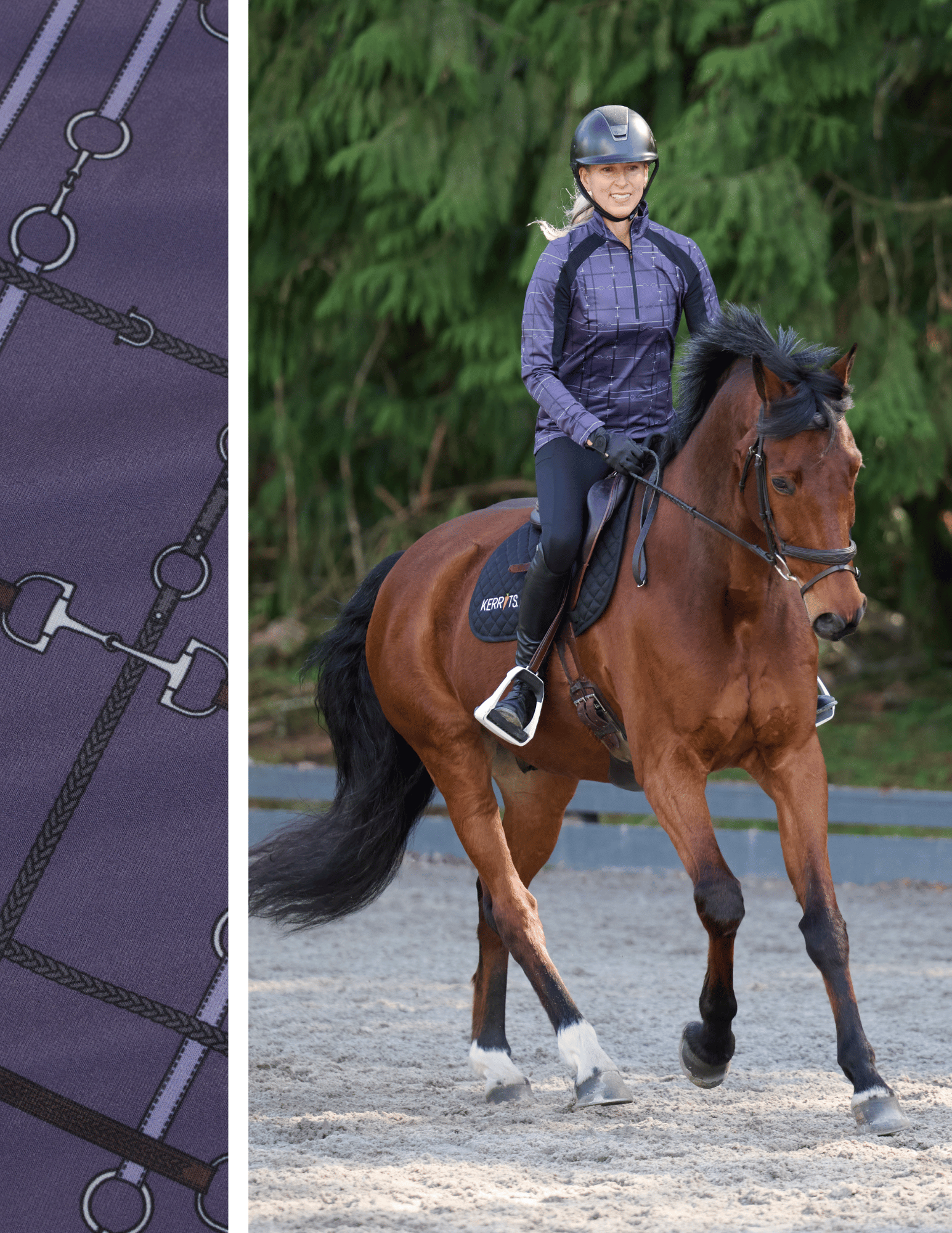 Head to Hoof Confidence
