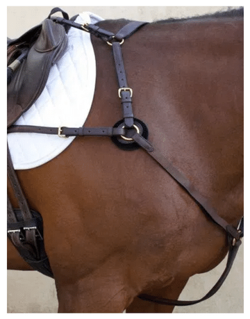 Shop for Nunn Finer Eventing Tack