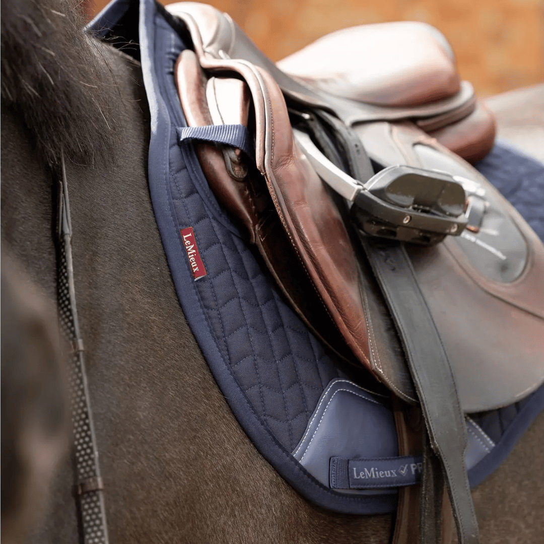 Shop for the Latest Horse Tack & Saddles
