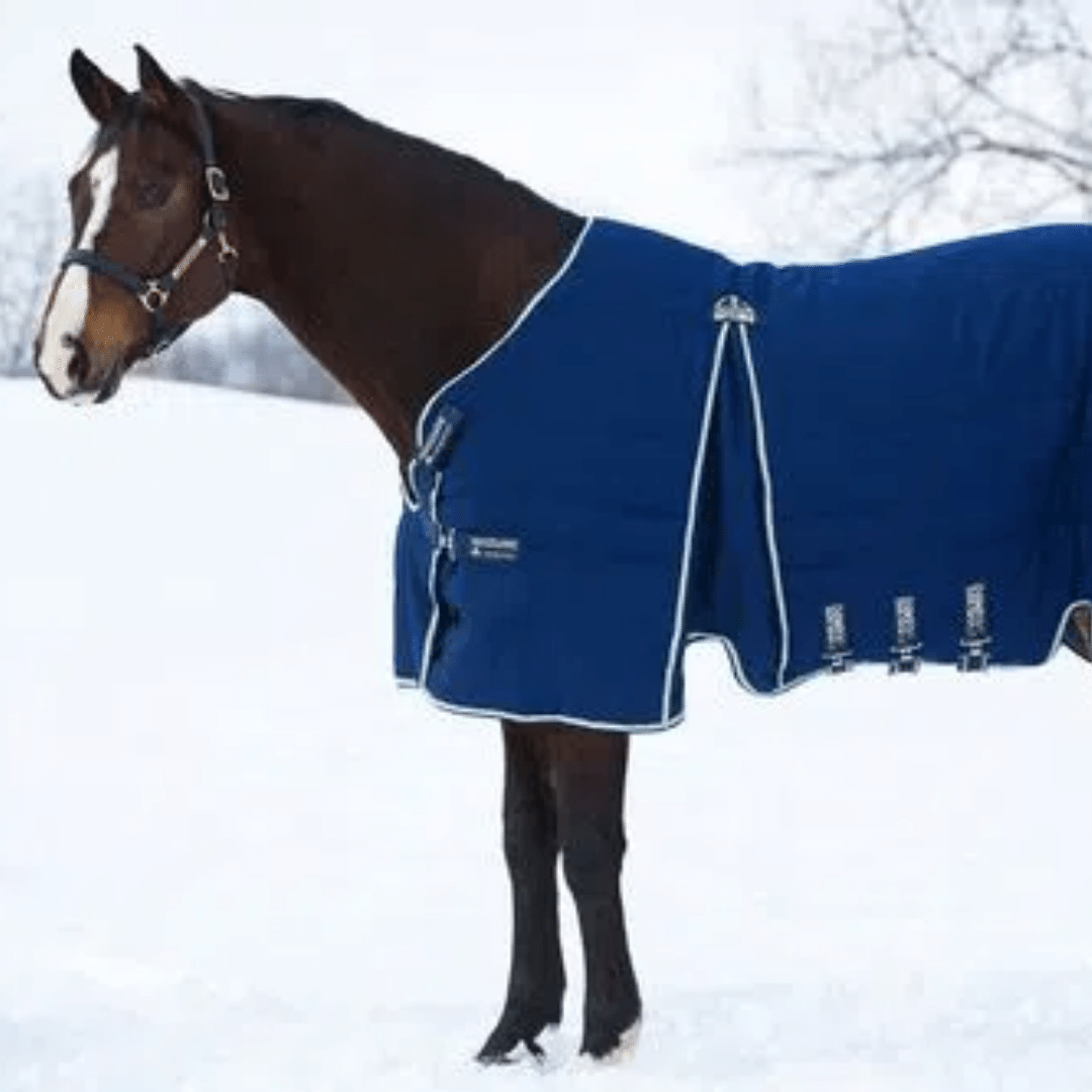 Blankets - What you Get for Your $$