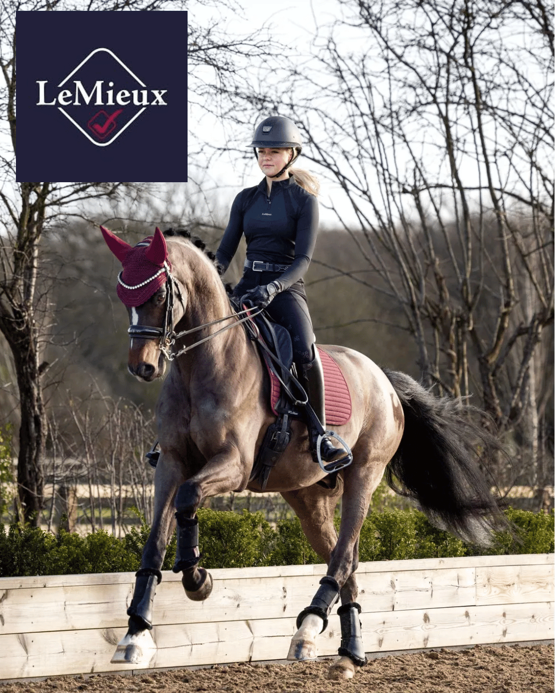 LeMieux