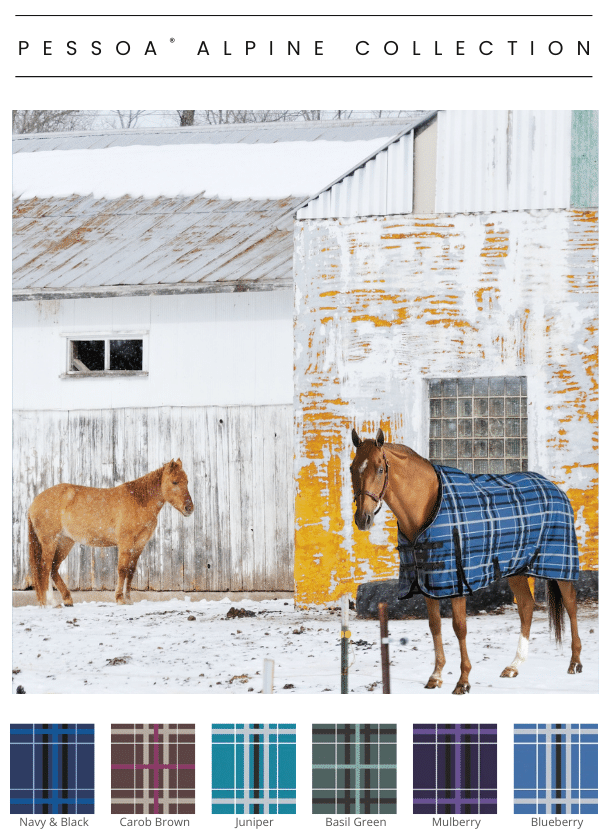 Pessoa Alpine Collection - Blueberry Pessoa Alpine Collection - Blueberry