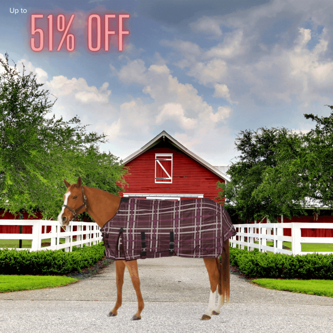 SHOP for Pessoa Blankets from 59% Off SHOP for Pessoa Blankets from 59% Off