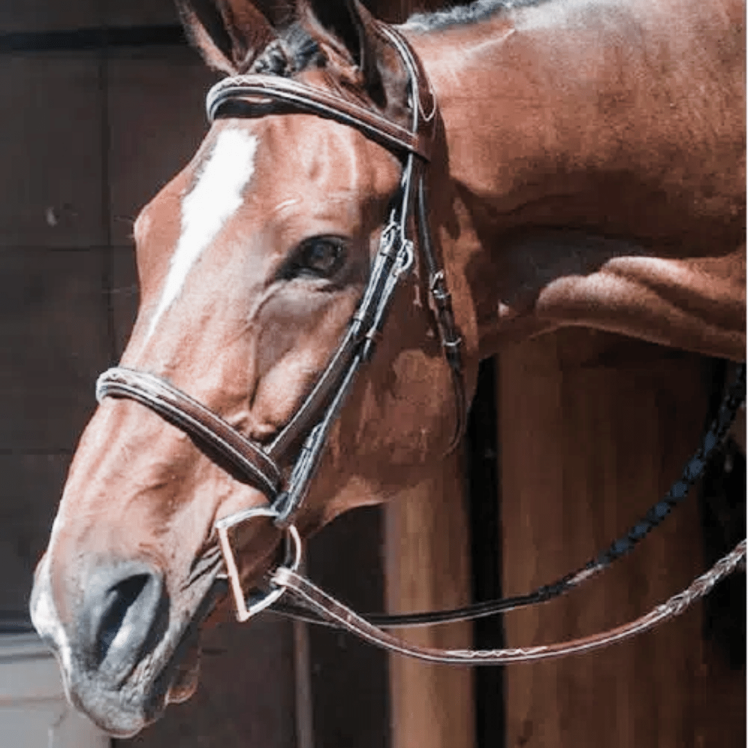 Ready to Ship Saddles & Strap Goods