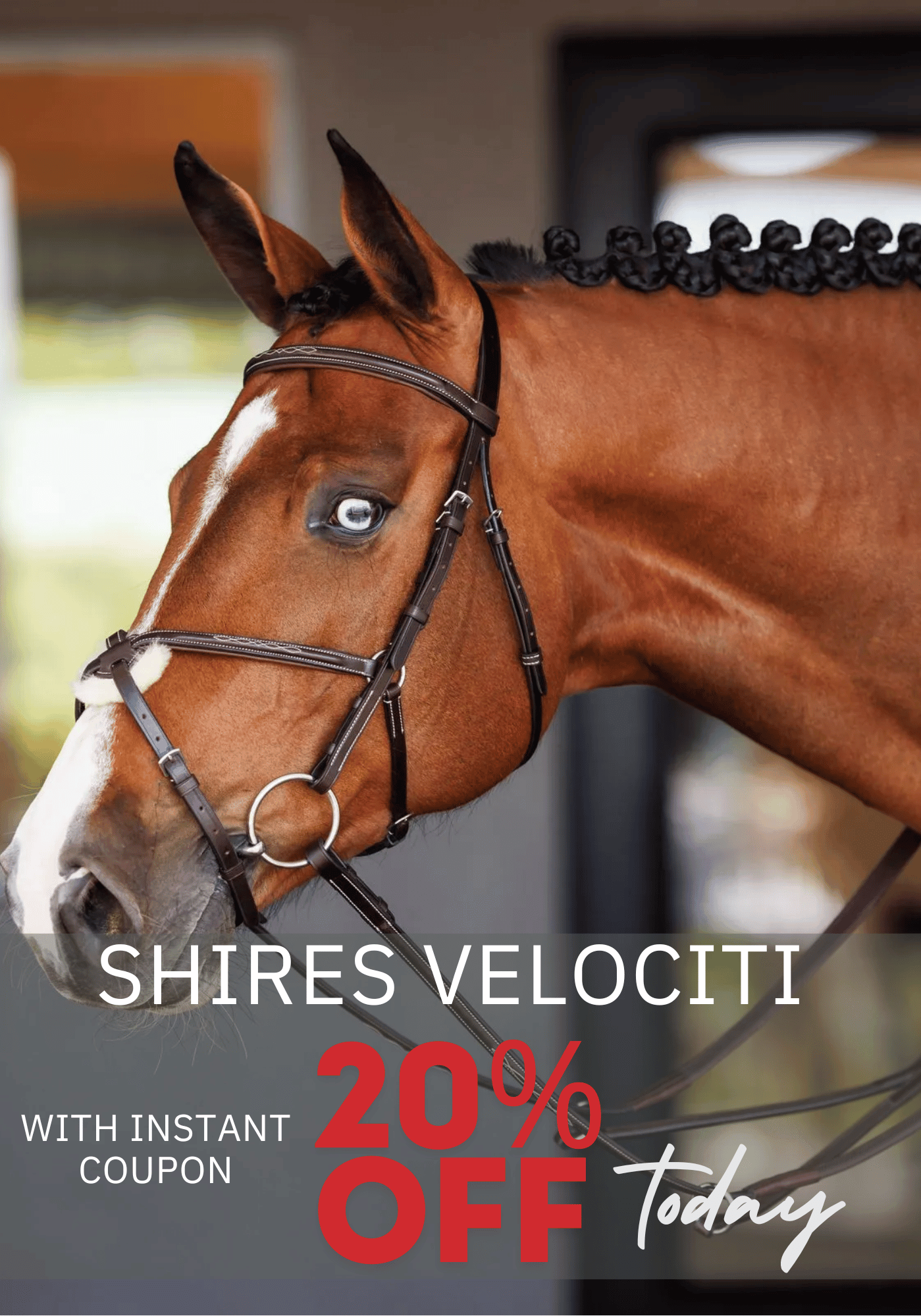 Shires Velociti