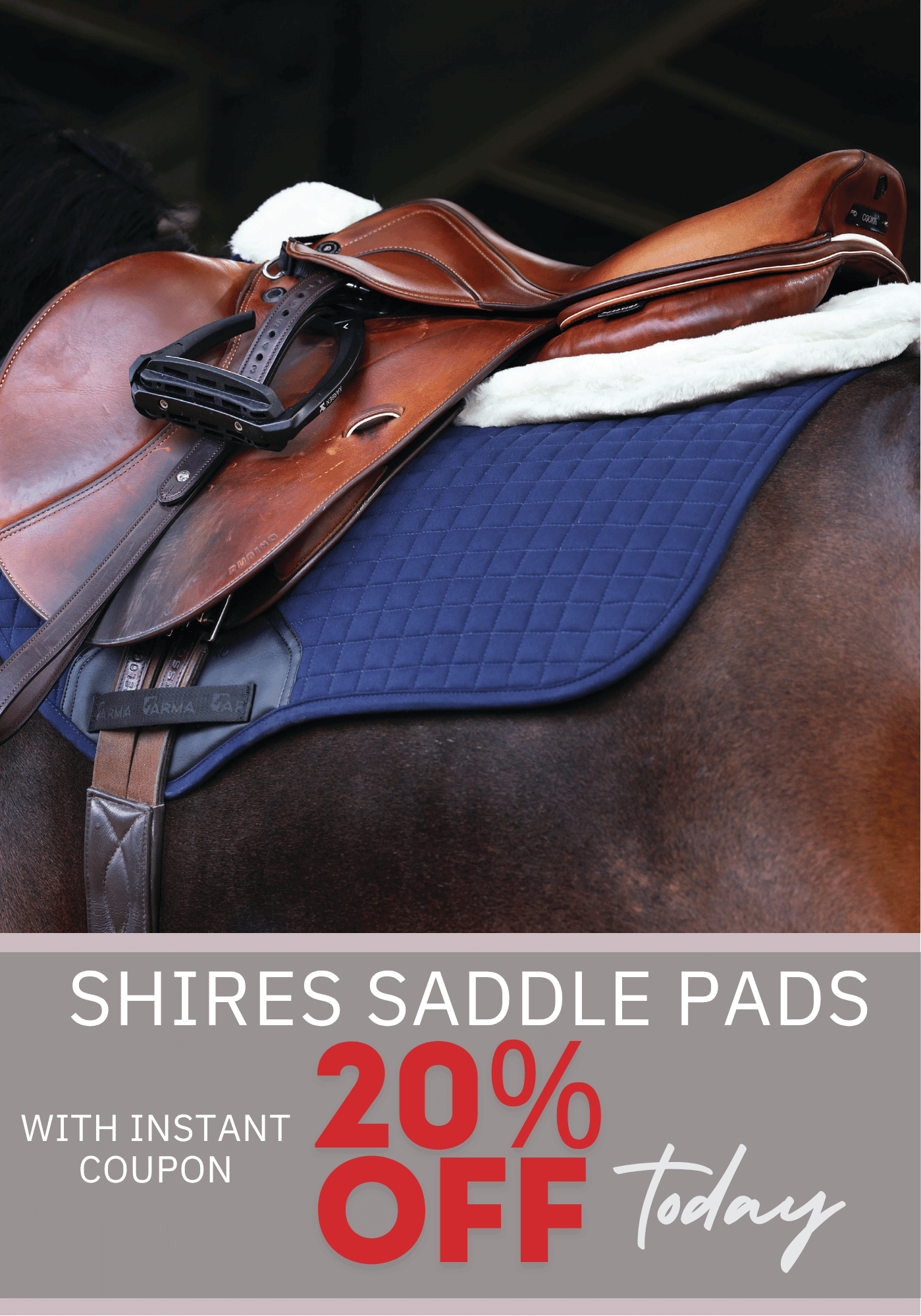 Shires Saddle Pads