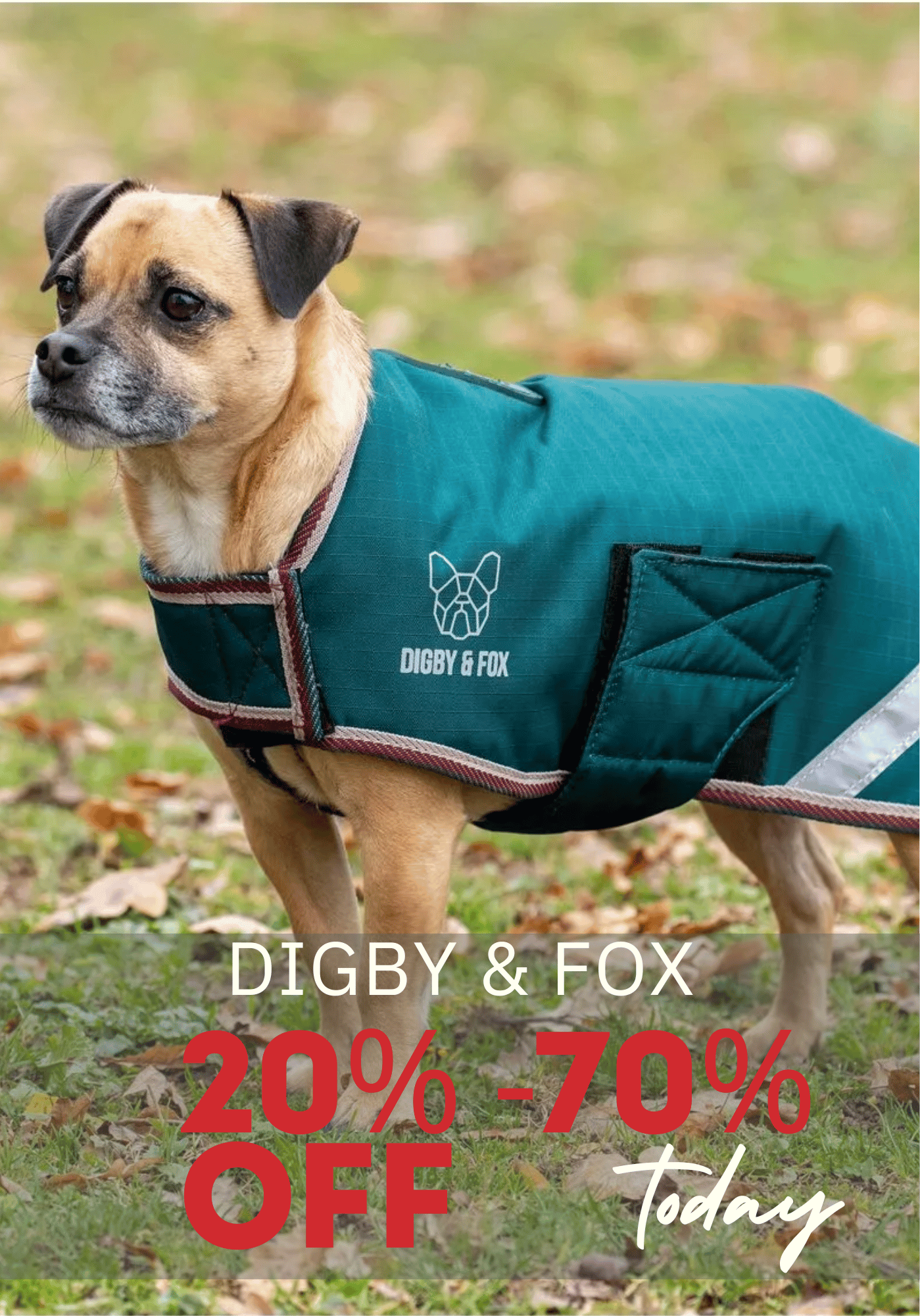 Up to 70% Off Digby & Fox