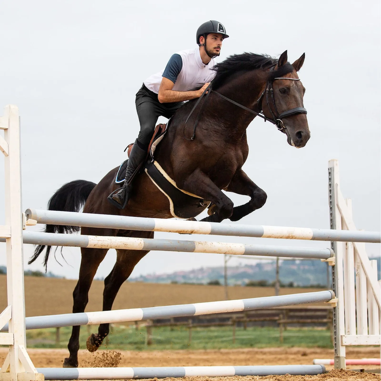 Horse Men's Grand Prix Breeches