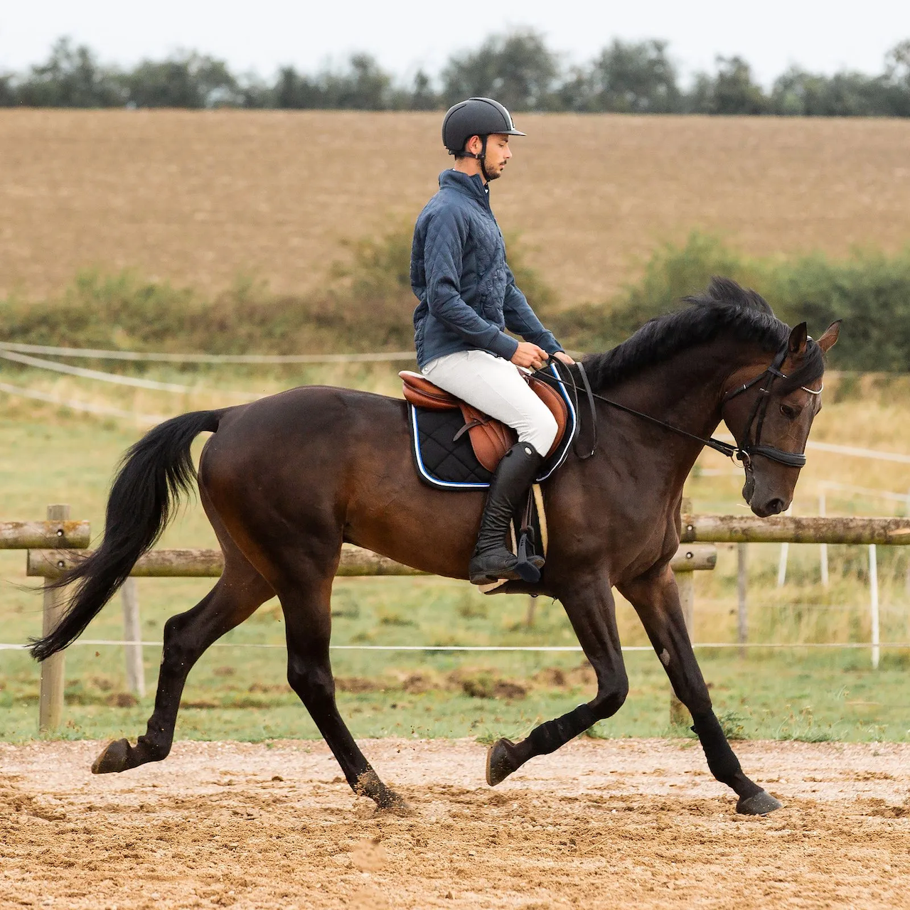 Horze Men's Grand Prix Breeches