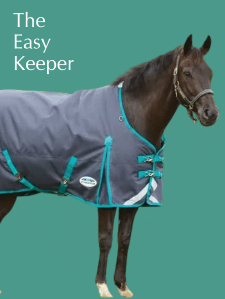 Shop for the Easy Keeper