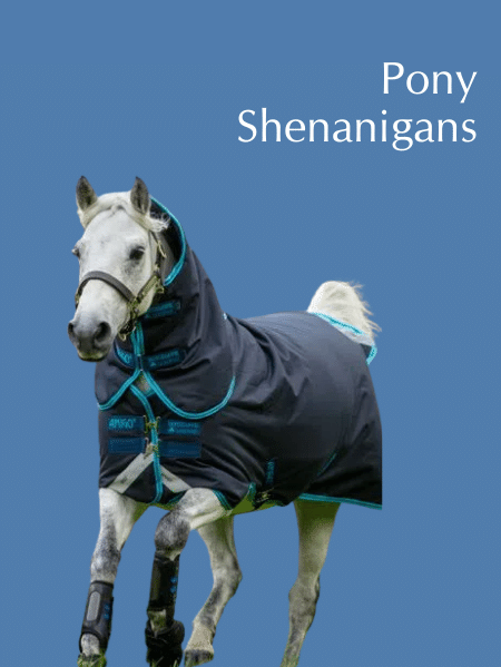 Pony Blankets