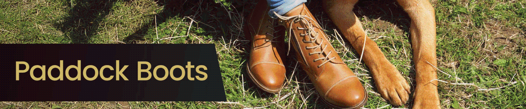 Paddock Boots