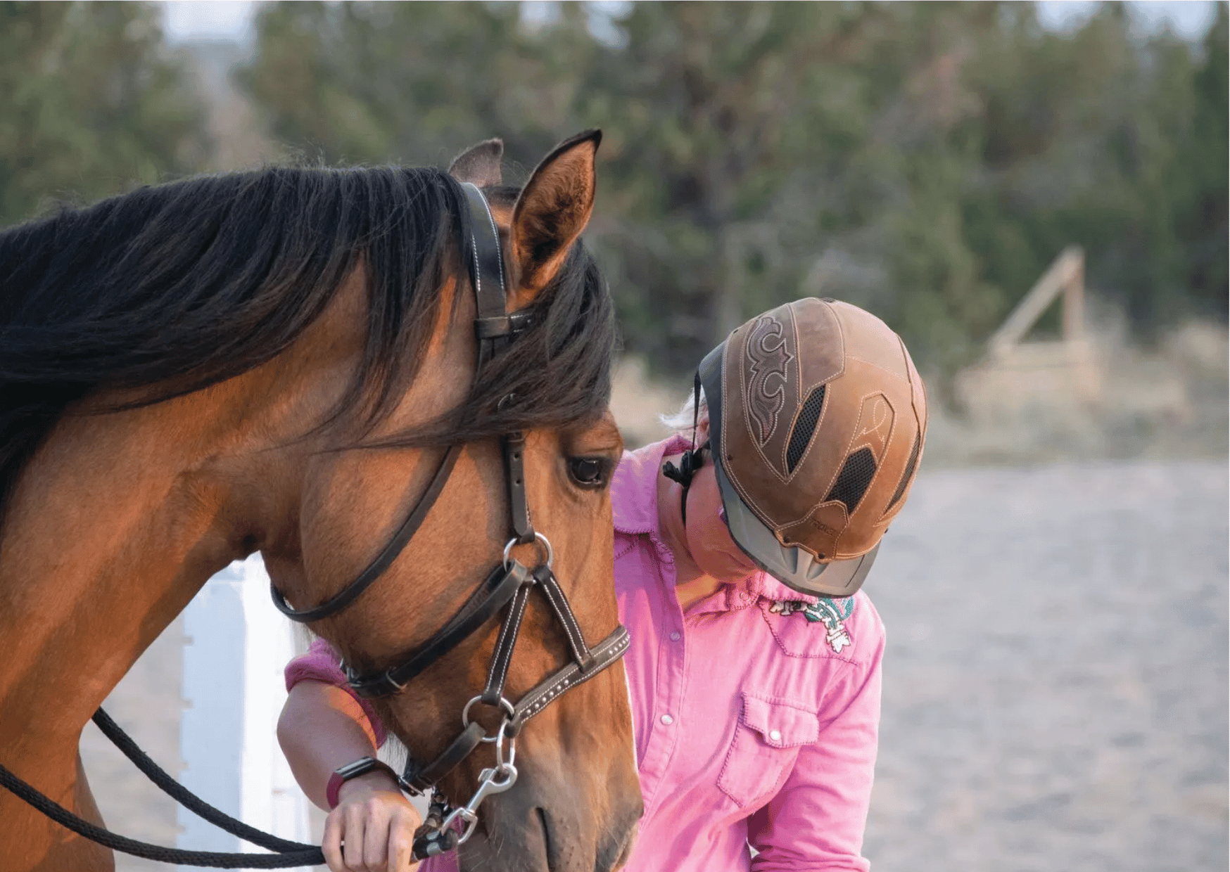 Western Riding Helmets Western Riding Helmets