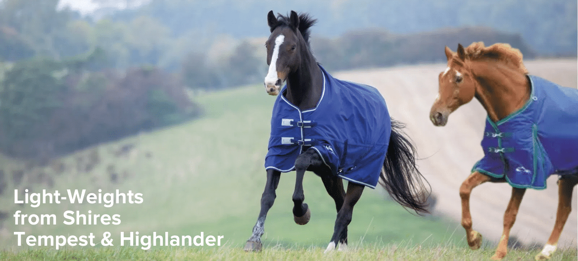 Shop for Shires Tempest & Highlander Lightweights