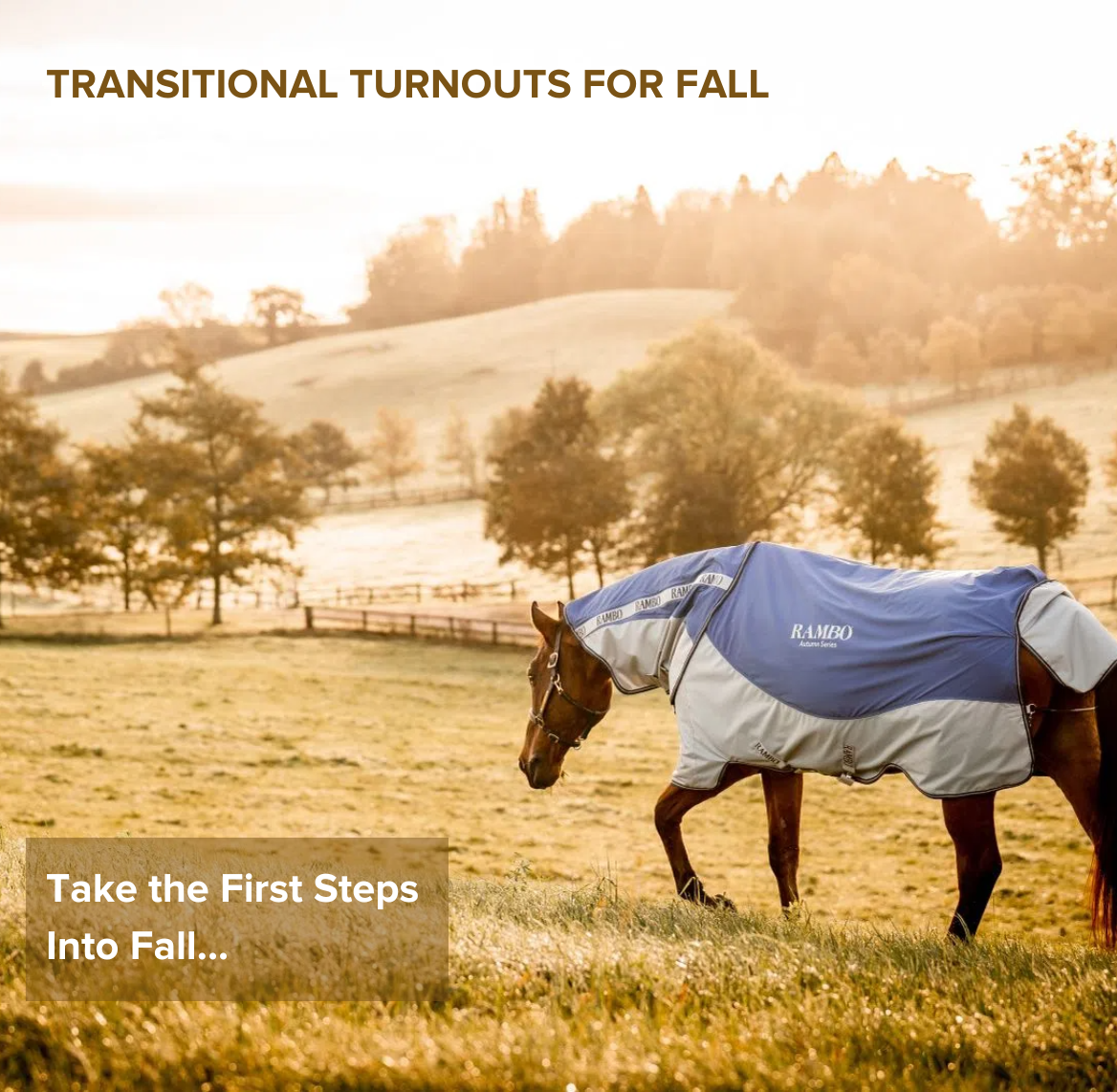 Shop for Lightweight Turnouts for Fall