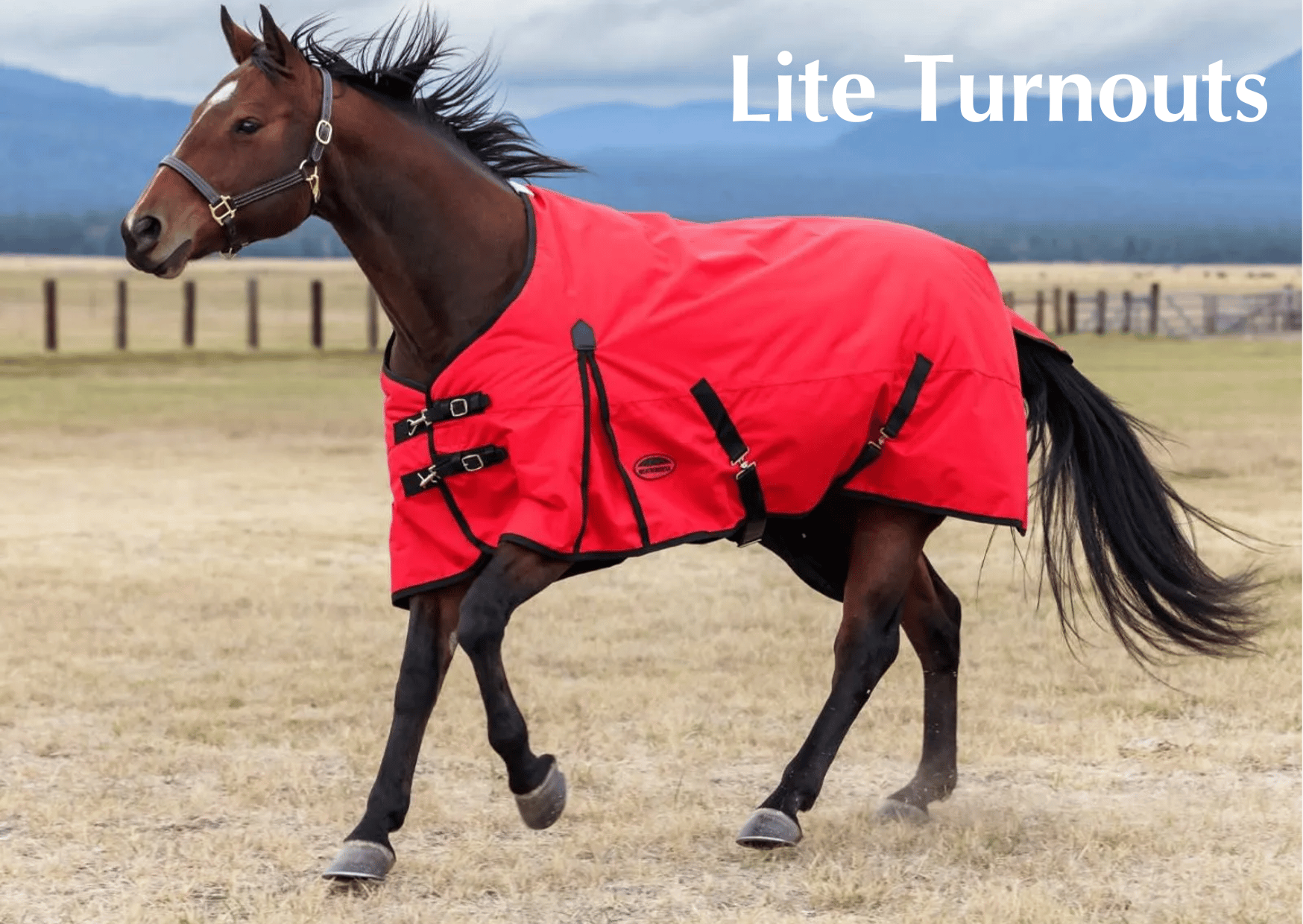 Lite Turnouts