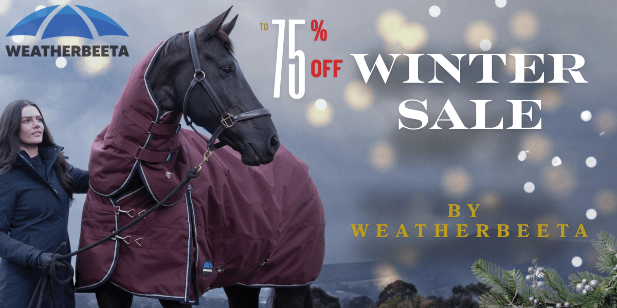 Winter Sale up to 75% off